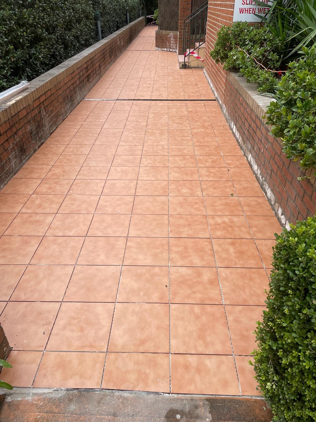 The finished walkway seen down its length, every grout line continuous from one end to the other and the cuts along the brick edge kept even.