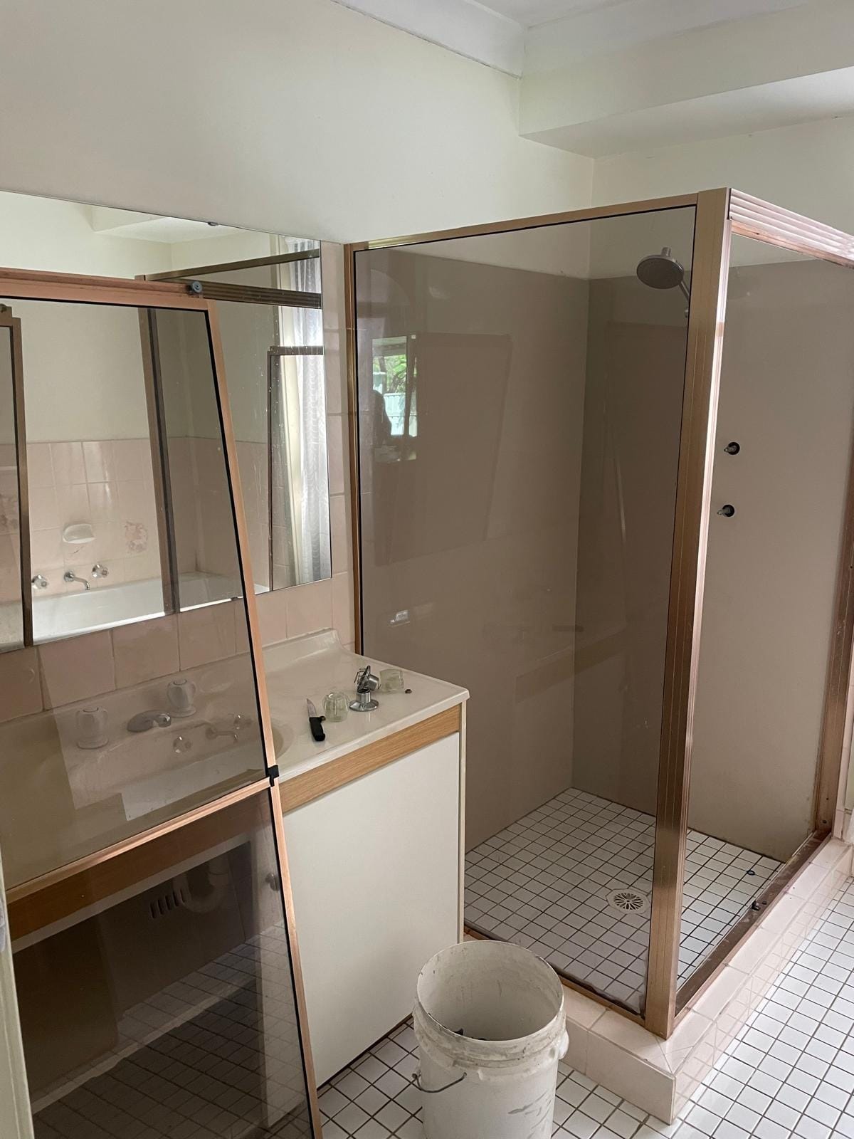The original vanity and mirrored wall cabinet, shower recess beside it, all in the dated cream and bronze scheme.